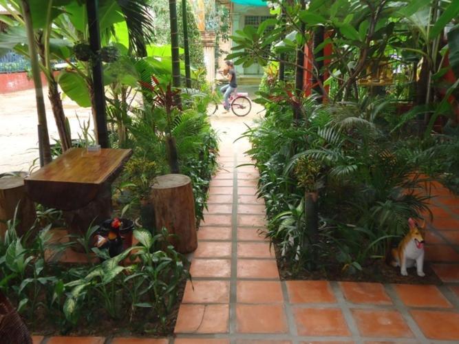 Ladybug Guesthouse Siem Reap Esterno foto